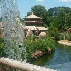 Meet your Posher, Vernetta